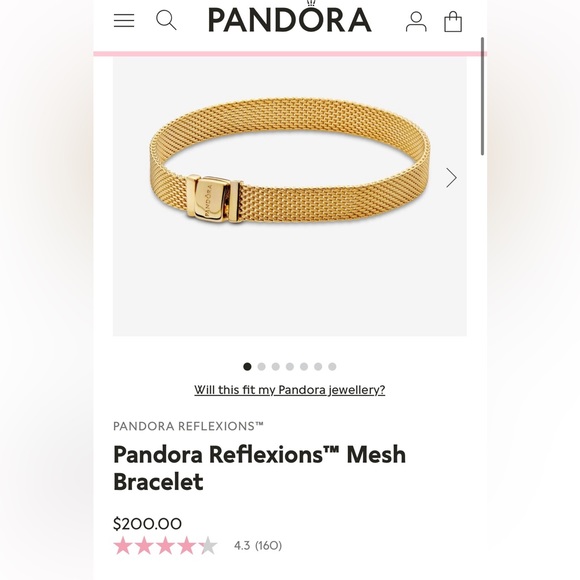 Pandora 14k Gold Plated Reflexion Mesh Bracelet w/ Pandora Charms & Safely Chain - Picture 14 of 15